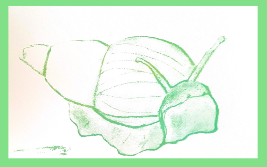 Green Snail