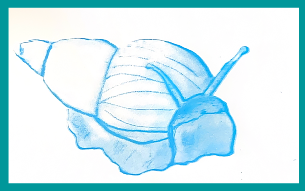 Blue Snail